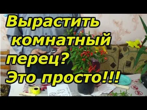 Нажми и смотри