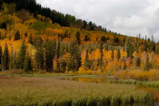 Двое детей в критическом состоянии: спасатели нашли потерявшуюся в горах семью