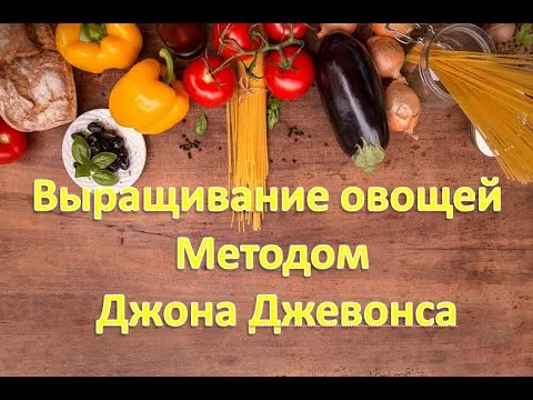 Нажми и смотри