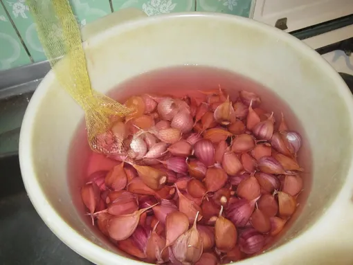 Обработка чеснока марганцовкой