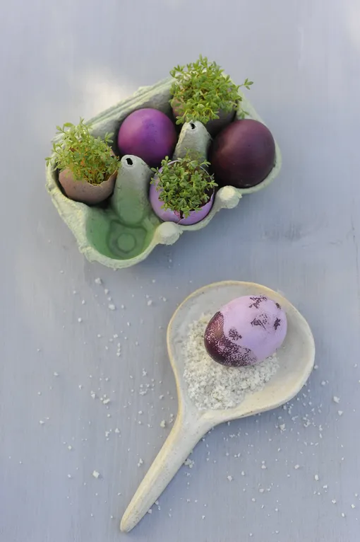 Мини-сад в скорлупе