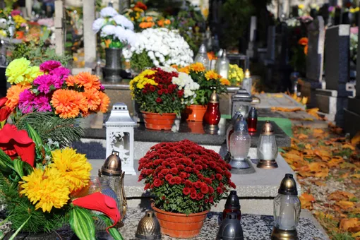 Что посадить на кладбище: 8 неприхотливых многолетников Что посадить на кладбище: 8 неприхотливых многолетников