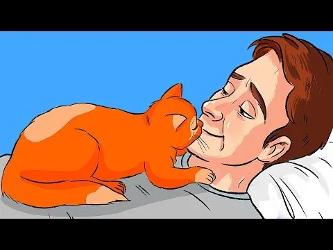 Нажми и смотри Нажми и смотри