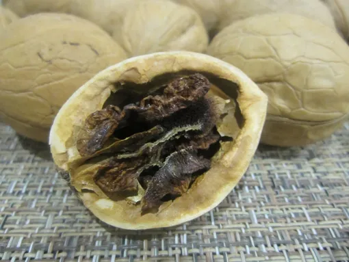 Как проверить свежесть грецких орехов Как проверить свежесть грецких орехов