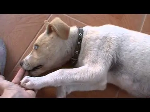 Нажми и смотри Нажми и смотри