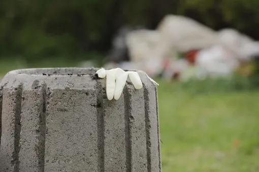 Перчатка брошена: за время эпидемии резко вырос объем пластикового мусора Перчатка брошена: за время эпидемии резко вырос объем пластикового мусора