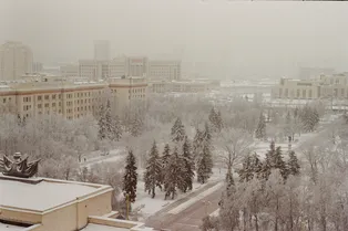 Синоптики рассказали, когда в Москве выпадет первый снег Синоптики рассказали, когда в Москве выпадет первый снег
