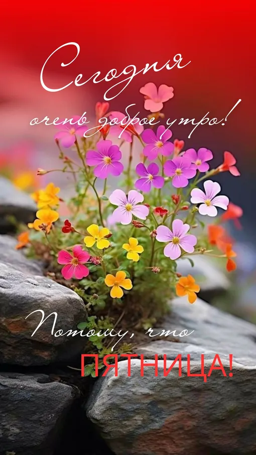 открытка с добрым утром