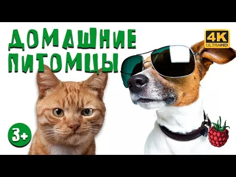Нажми и смотри Нажми и смотри