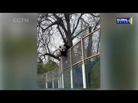Нажми и смотри