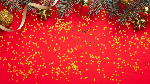 Ёлочные иголки, крошки, конфетти: 5 новогодних проблем, которые решит липкий ролик для одежды