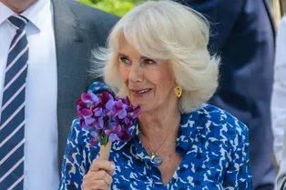 Новый выход королевы Камиллы: она отказалась от любимого синего в пользу другого цвета — и он ей тоже к лицу Новый выход королевы Камиллы: она отказалась от любимого синего в пользу другого цвета — и он ей тоже к лицу