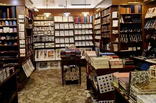 Где тут кот? Хитрый зрительный тест, который под силу не каждому