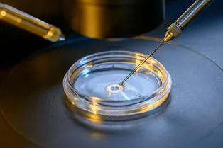 Мужчина с геном рака стал донором спермы и отцом 197 детей