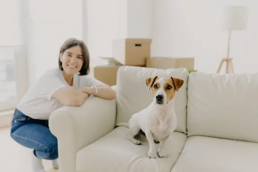 Как сделать дом безопасным для собаки: 5 советов экспертов фото
