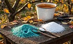 Лимонная кислота и железный купорос: когда добавка работает, а когда это миф Лимонная кислота и железный купорос: когда добавка работает, а когда это миф