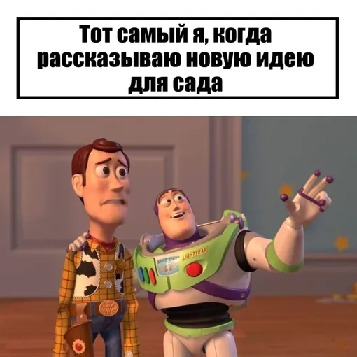 мемы про дачу