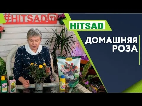 Нажми и смотри Нажми и смотри