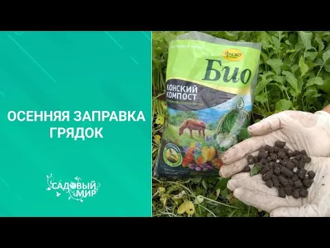 Нажми и смотри