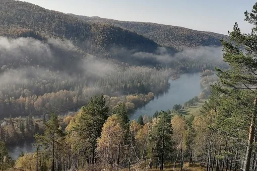 Пятые сутки без связи: в тайге пропала семья с маленькой дочерью Пятые сутки без связи: в тайге пропала семья с маленькой дочерью