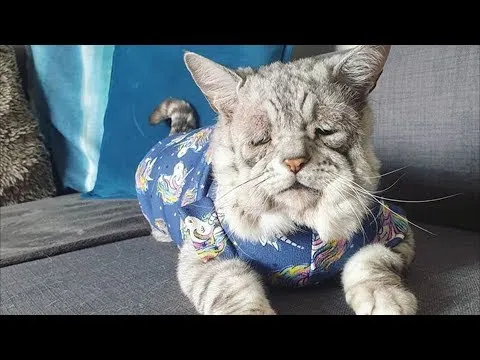 Нажми и смотри