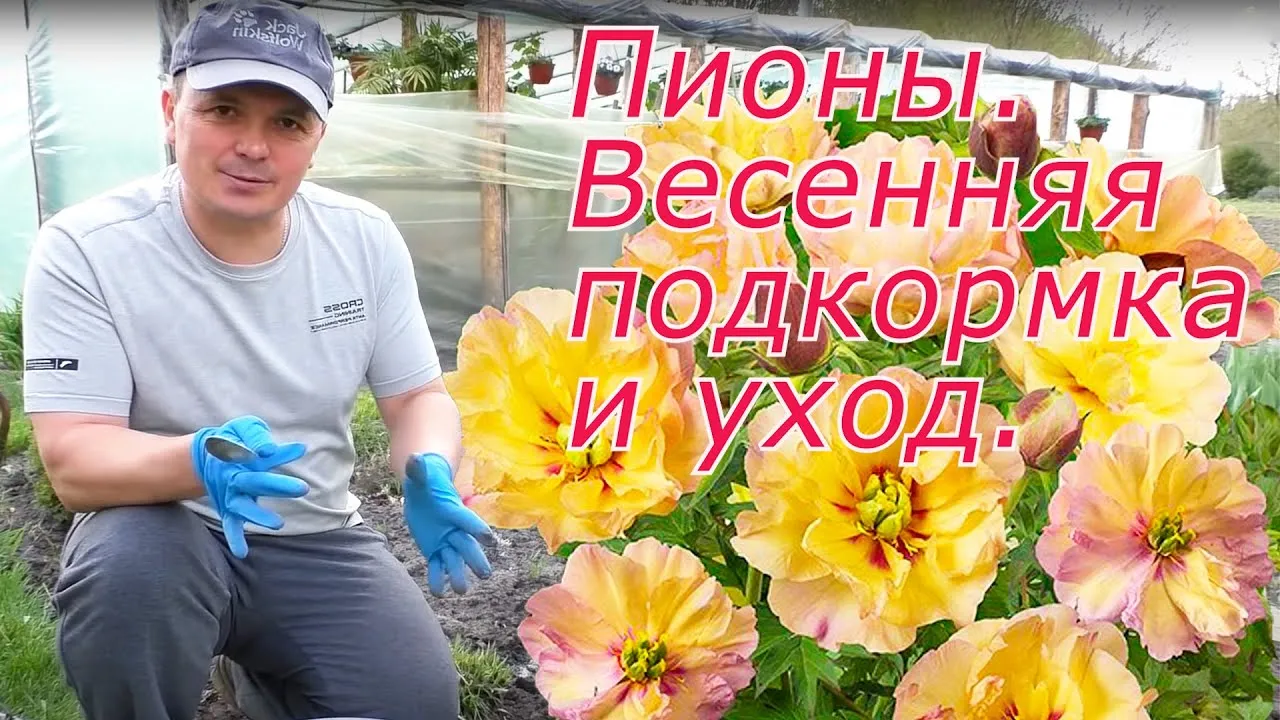 Нажми и смотри Нажми и смотри