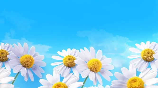 Нажми и смотри