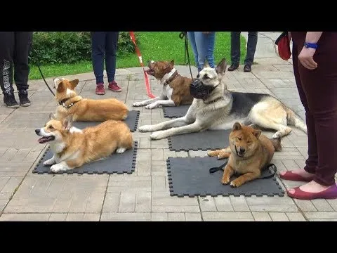 Нажми и смотри