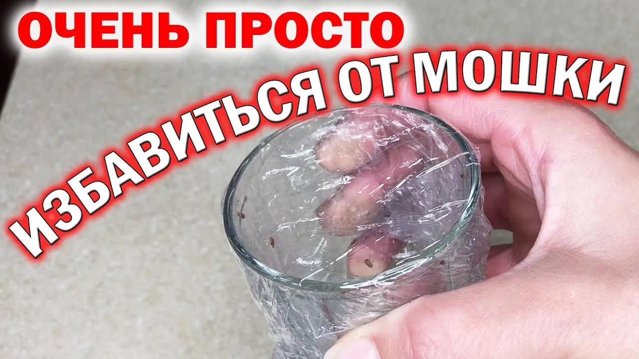 Нажми и смотри Нажми и смотри