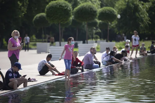 Коронавирус Коронавирус