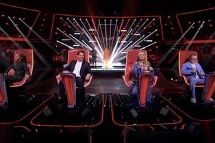 Пелагея захватила лучших: блокировка изменила расклад сил в пятом выпуске слепых прослушиваний шоу «Голос»