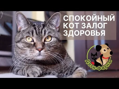 Нажми и смотри