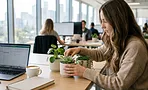 Какие цветы поставить на рабочий стол: 7 компактных растений, которые выглядят красиво