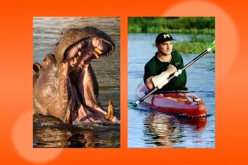 «Меня проглотил бегемот»: история мужчины, который пережил атаку самого опасного зверя Африки «Меня проглотил бегемот»: история мужчины, который пережил атаку самого опасного зверя Африки