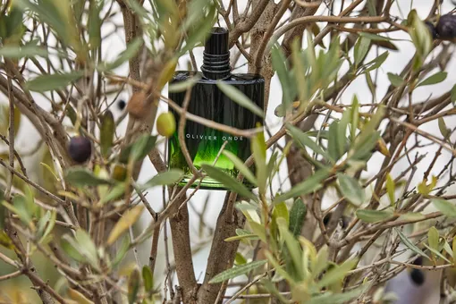 Мужской характер: три новинки от L’Occitane