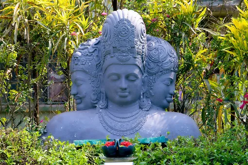 В Индии родился ребенок с тремя головами В Индии родился ребенок с тремя головами