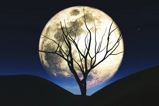 Третье суперлуние: когда и где можно будет увидеть в декабре