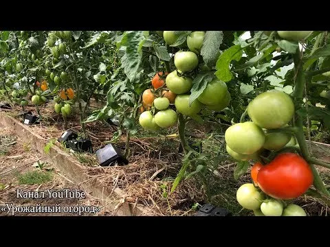 Нажми и смотри Нажми и смотри