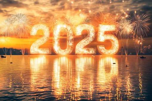 ​​​​​​​Новый год без «огонька»: где в России запретили новогодние салюты