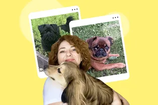 Дневник дачницы: что я поняла, переехав жить за город с тремя собаками Дневник дачницы: что я поняла, переехав жить за город с тремя собаками