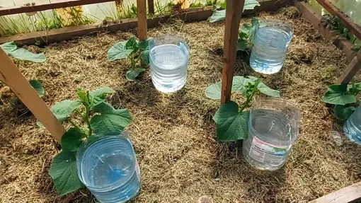 Пластиковые бутылки