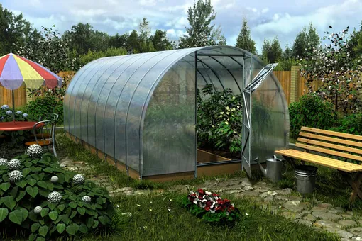 6 предметов, которые никогда не следует хранить в теплице