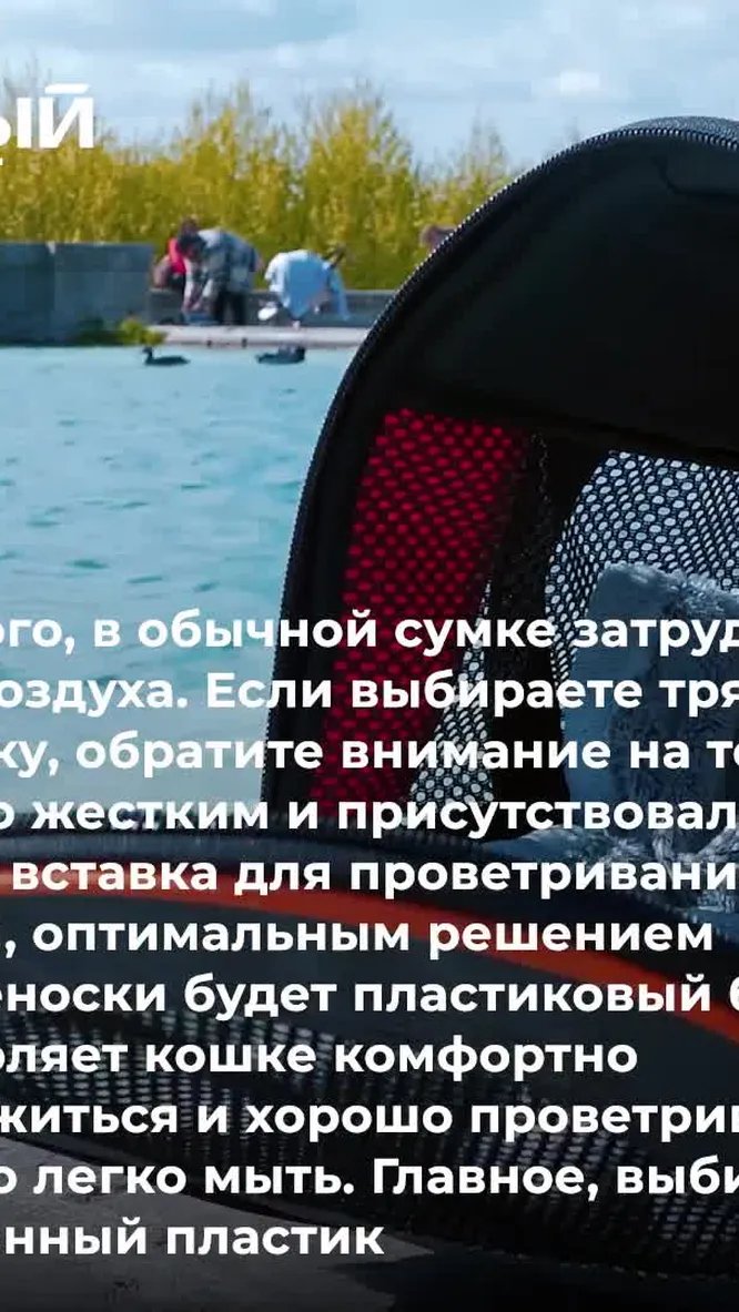 Нажми и смотри