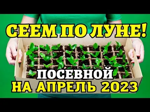Нажми и смотри