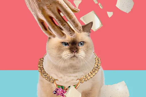 Гениальный самозванец. Рассказ Гениальный самозванец. Рассказ