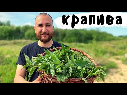 Нажми и смотри