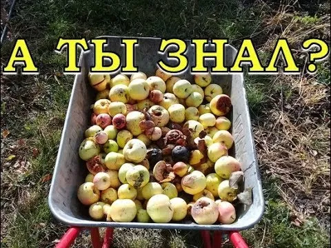 Нажми и смотри