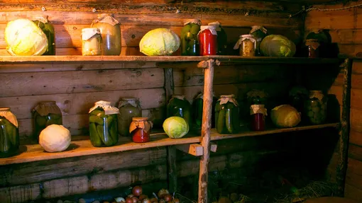 хранения в подвале хранения в подвале