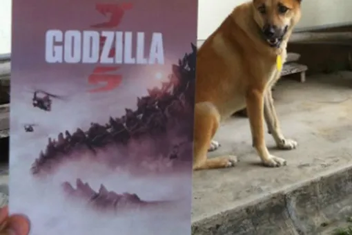 Забавные совмещения: живые собаки и постеры кинофильмов Забавные совмещения: живые собаки и постеры кинофильмов