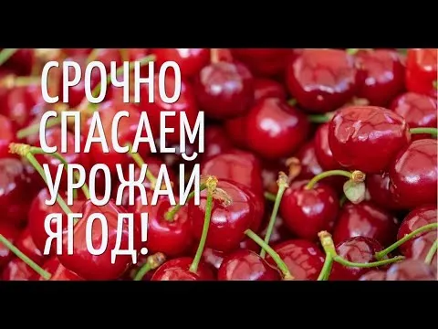 Нажми и смотри